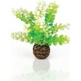 👉 Aquarium decoratie groen BiOrb Caulerpa