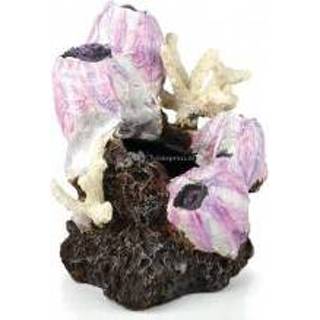 👉 Ornament roze klein BiOrb eendenmossel aquarium decoratie