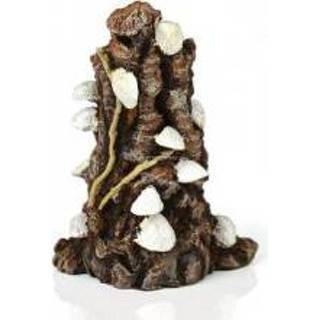 👉 Ornament wit BiOrb schelp op schors aquarium decoratie