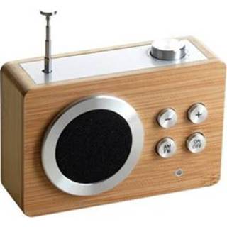 👉 LEXON Mini Radio