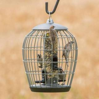 👉 Beschermsilo voor kleine vogels Aura