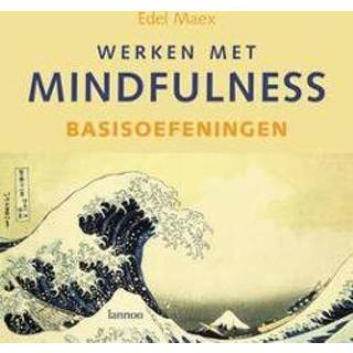 👉 Werken met mindfulness: Basisoefeningen. basisoefeningen & mindfulness, E. Maex, Hardcover 9789020976762