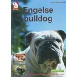 👉 Engelse bulldog. Over Dieren, A. Louwrier, Hardcover 9789058216021