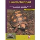 👉 Landschildpad De landschildpad. Over Dieren, Hermans, Sandra, Paperback 9789058211705