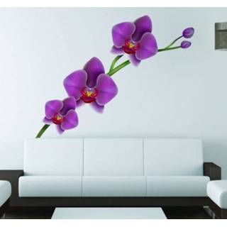 Orchidee Muursticker