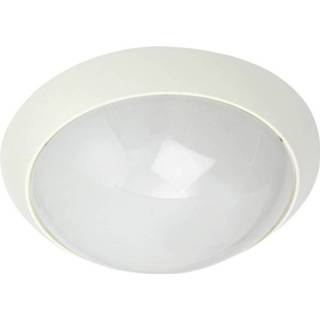 👉 Wit SG Econ ALU LED 28CM Anti vandaal 7021981211943