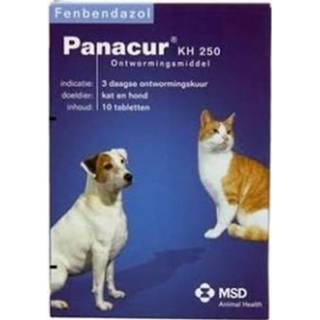 👉 Panacure Hond/Kat 250mg 10 Tabletten