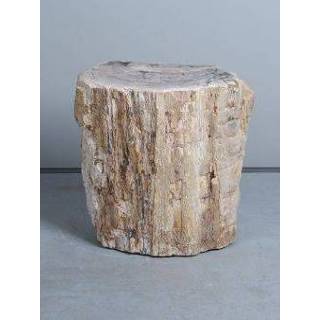 👉 Bijzettafel hout versteend PJ-31