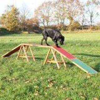 👉 Loopplank outdoor Trixie Dog Activity Agility - L 456 x B 30 H 64 cm