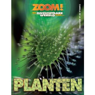 👉 Planten