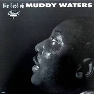 👉 Muddy Waters - The Best Of LP