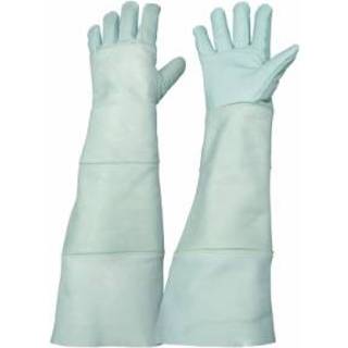 👉 Handschoenen Rostaing - Animalys 3353090016855