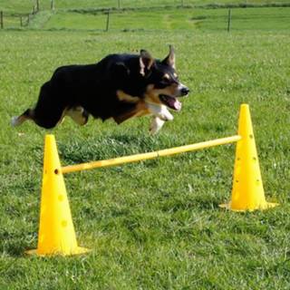 👉 Agility set 2 in 1