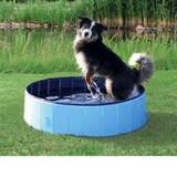 👉 Trixie Dog Pool - Ø 80 x 20 cm 4047974394816