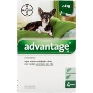 👉 Advantage 40 hond < 4kg - 4 x 0.4 ml 4007221041559
