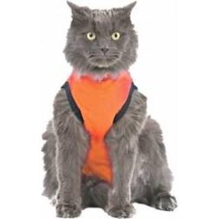 👉 Shirt oranje XXXS Medical Pet Kat - 8718375250594