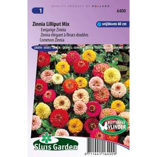 👉 Volle zon juli Zinnia Lilliput Mix