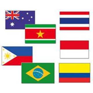 👉 Vlag Tropisch feest dekoratie vlaggen