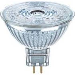 👉 LED lamp 350 lumen 12V GU5.3 5W-20W D 2700K 36° 350LM 50mm Oram dimbaar