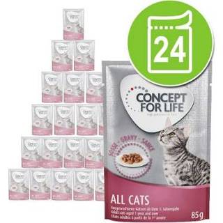 👉 24 x 85 g Concept for Life Kattenvoer - All Cats in Gelei - Voordeelpakket
