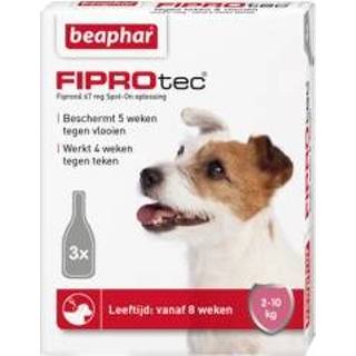 👉 Pipet Beaphar FiproTec Spot-On Hond 2 - 10 kg 3 pipetten 8711231108121 8711231108138 8711231108145 8711231108114