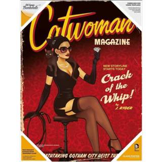 👉 Poster DC Comics Bombshells Glass Catwoman 30 x 40 cm 8435450201998