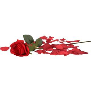 👉 Valentijnscadeau rode bordeauxrode volwassenen roos 45 cm met rozenblaadjes