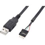 👉 Akasa USB 2.0 Internal to External adapter 40 cm 4710614530102