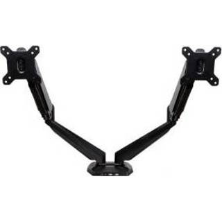 👉 Monitor StarTech.com DUAL MOUNT WITH 2-PORT