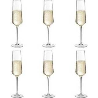 👉 Champagneglas transparant glas champagne Leonardo Puccini Champagneglazen 0,28 L - 6 st. 4045037695504