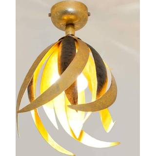 👉 Verstelbare plafondlamp Prospero - een