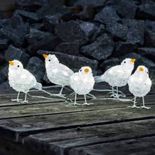 👉 Schattige buitendecoratie LED Vogelkwintet