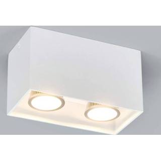 👉 Wit 2-vlammig Opbouw-downlight Carson in