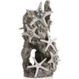 👉 Ornament BiOrb zeester rots aquarium decoratie 822728006627