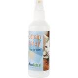 👉 Excellent Catnip Spray - 150 ml