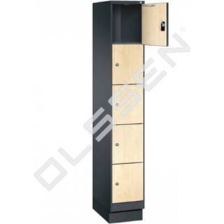 👉 Locker houten MDF EVOLO met 5 smalle vakken (MDF) 7091138002960