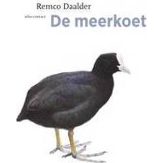 👉 De meerkoet. Remco Daalder, Paperback 9789045030258