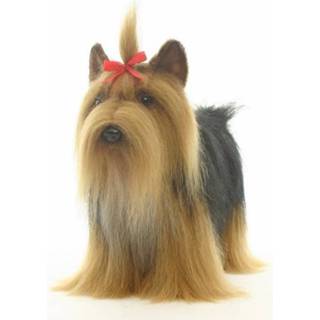 👉 Terriers knuffel kinderen Luxe Yorkshire Terrier knuffels 38 cm