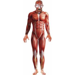 👉 Multi synthetisch mannen Anatomische man kostuum