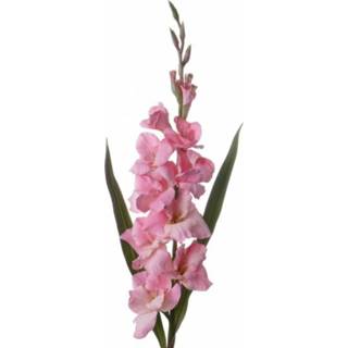 👉 Roze gladiolen 102 cm
