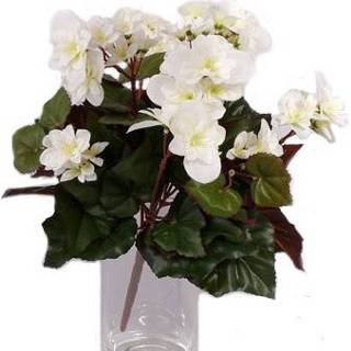 👉 Witte multi polyester Begonias in pot 30 cm