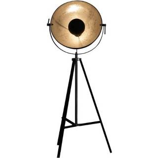 Van De Heg Stoere vloerlamp silver Sun spot zilver active 32207 665910 Vloerlamp zilver active Van De Heg Stoere Silver Sun spot 665910 8712684647007