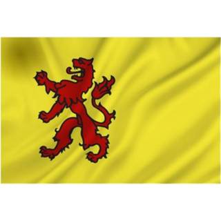 👉 Provincie Zuid Holland vlag