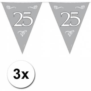 👉 Zilveren vlaggenlijn small active 3x 25e jubileum