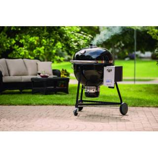 👉 Grill Weber Summit Charcoal 77924041914