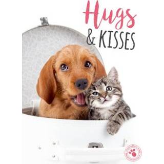 👉 Nederlands Liefdeskaartje | Studio Pets Puppy & Kitten