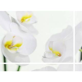 👉 Liggende fotokaart met witte bloemen en lijnen