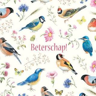 👉 Beterschapskaart | Vogels | Bloemen | Vlinder