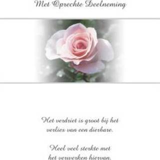 👉 Condoleancekaart met roze roos en tekst