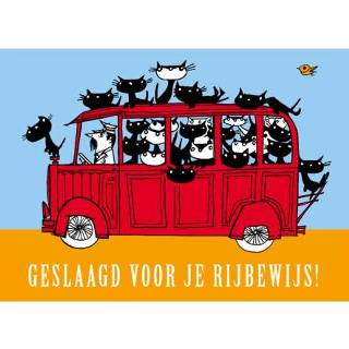 👉 Pim & Pom en hun vrienden in een bus